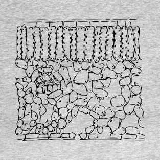 Leaf cross section (Helleborus niger) T-Shirt